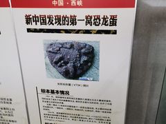 -中国西峡恐龙遗迹园