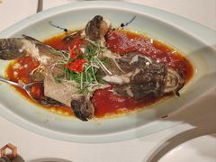 -梦都海鲜酒家(万达广场江桥店)