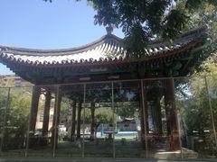-北京市东城区东四九条小学