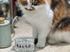 -玫瑰咖啡(中山六路店)