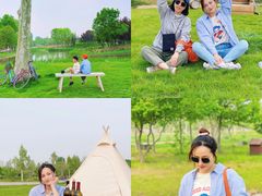 -安德鲁户外烧烤帐篷营地(马泉营店)