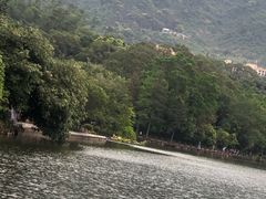 -深圳仙湖植物园