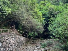 -午潮山国家森林公园