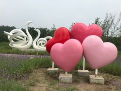 -东郊湿地公园