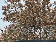 -西安创业咖啡街区