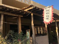 -沙洲胡杨焖饼