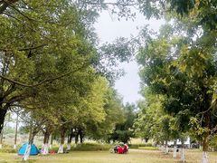 -鹤之洲湿地公园