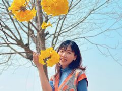 -天适樱花悠乐园