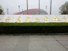 -南京奥林匹克体育中心-体育馆