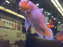 -新辉港式茶餐厅(北栅店)