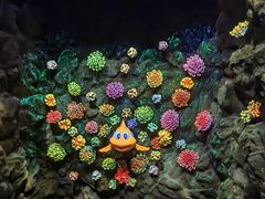 -珠海长隆海洋王国