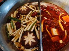-湊湊火锅·茶憩(新中关购物中心店)