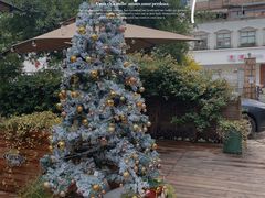 -一棵树·意大利西餐厅One Tree(新城店)