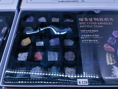 -中华赏石园