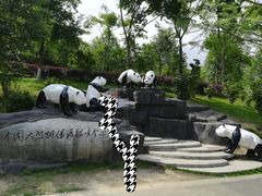 -都江堰中华大熊猫苑