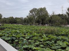 -渭滨公园