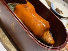 -鹿园 MOOSE(长宁店)