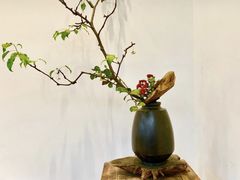 -乐领拈花溪·林涧食韵