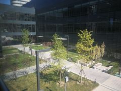 -首都医科大学附属北京天坛医院