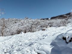 -太子岭滑雪场