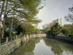 -晓港公园