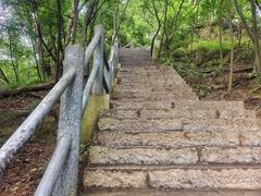 -紫金山山顶公园