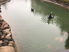 -芭东小镇温泉