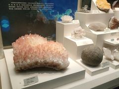 -天津自然博物馆