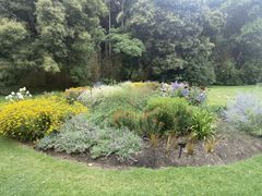 -墨尔本皇家植物园