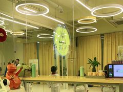 -勇气斑马·巴西柔术&跆拳道(浦东三林店)