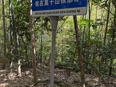 -莫干山风景区