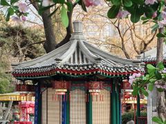 -白家大院·王府宫廷菜(苏州街店)