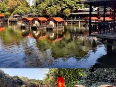 -侨美·唐荔园·40年地道粤菜