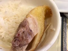 -顺德了能馆(虎门店)