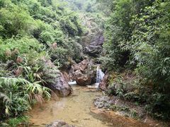 -南海湾森林生态园