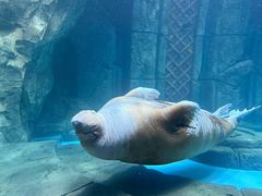 -波塞冬旅游度假区