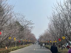 -南京市溧水区傅家边梅花山弄山庄