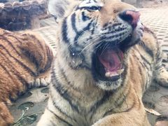 -西安秦岭野生动物园