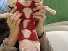 -藏猫猫咖啡主题馆(中央大道店)