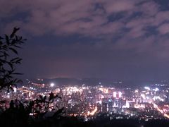 -长虫山生态公园风景林