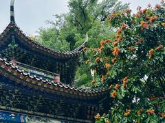 -南华禅寺