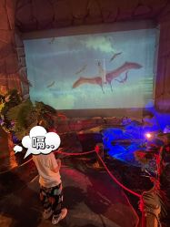 -恐龙探索乐园(磁器口店)