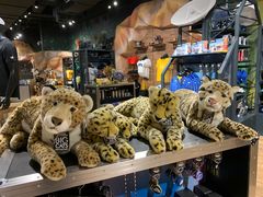 -珠海横琴国家地理探险家中心(创新方)