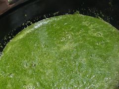新鲜艾草汁-苏湘杭(普罗旺世店)