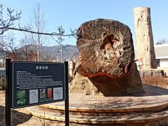 景点-国家植物园(南园)