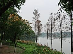 -海珠湖公园