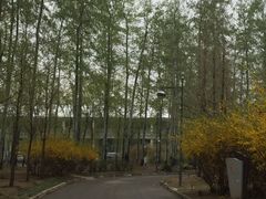 -中家鑫园温泉酒店鑫悦汤泉