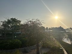 -梧桐山风景名胜区