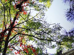 -龙庆峡风景区
