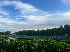 -长春市南湖公园